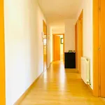 Apartment Pep *